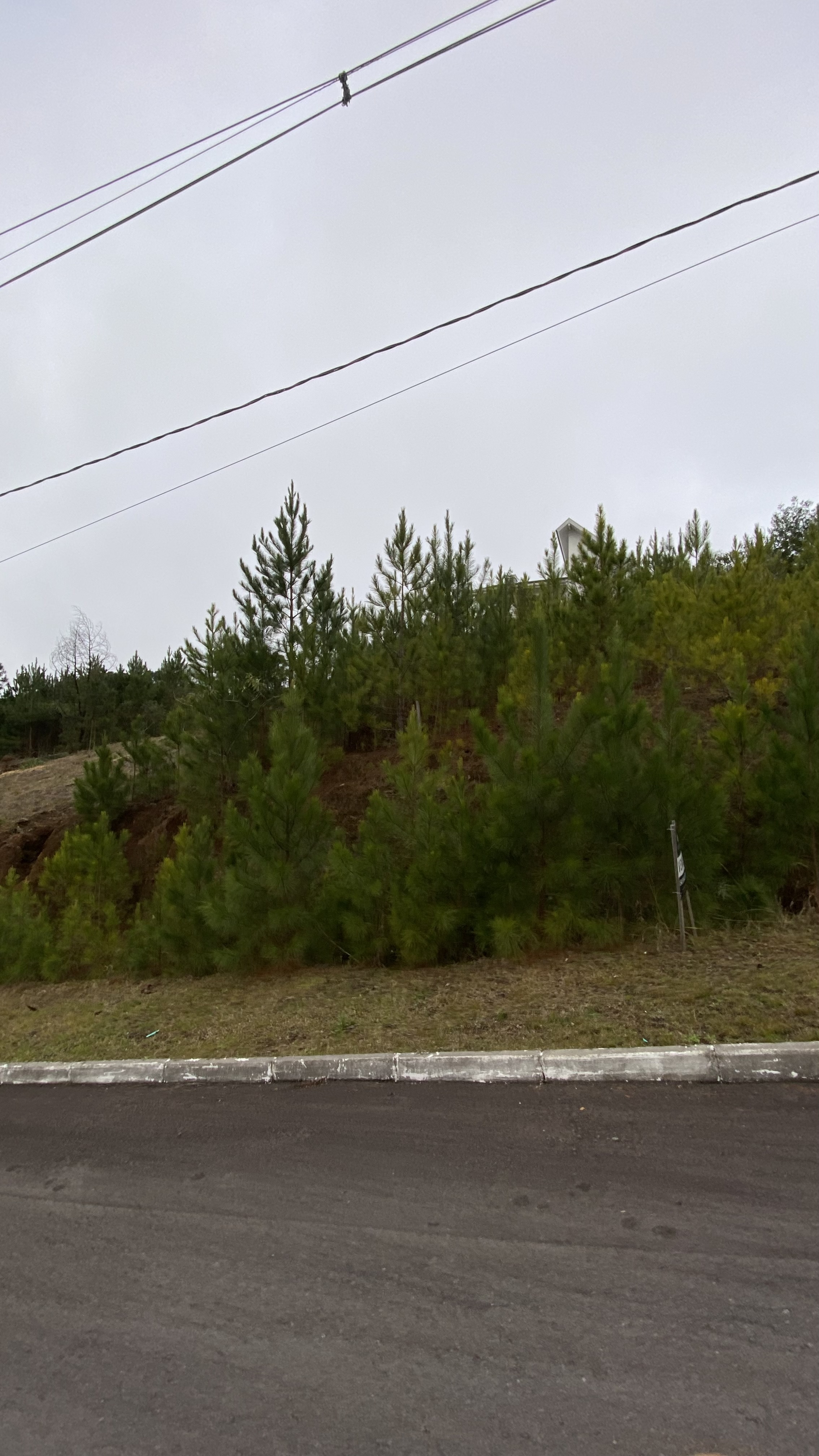 Excelente Terreno em Aclive com 450 m² e Vista Definitiva em Rua Sem Saída — foto 1