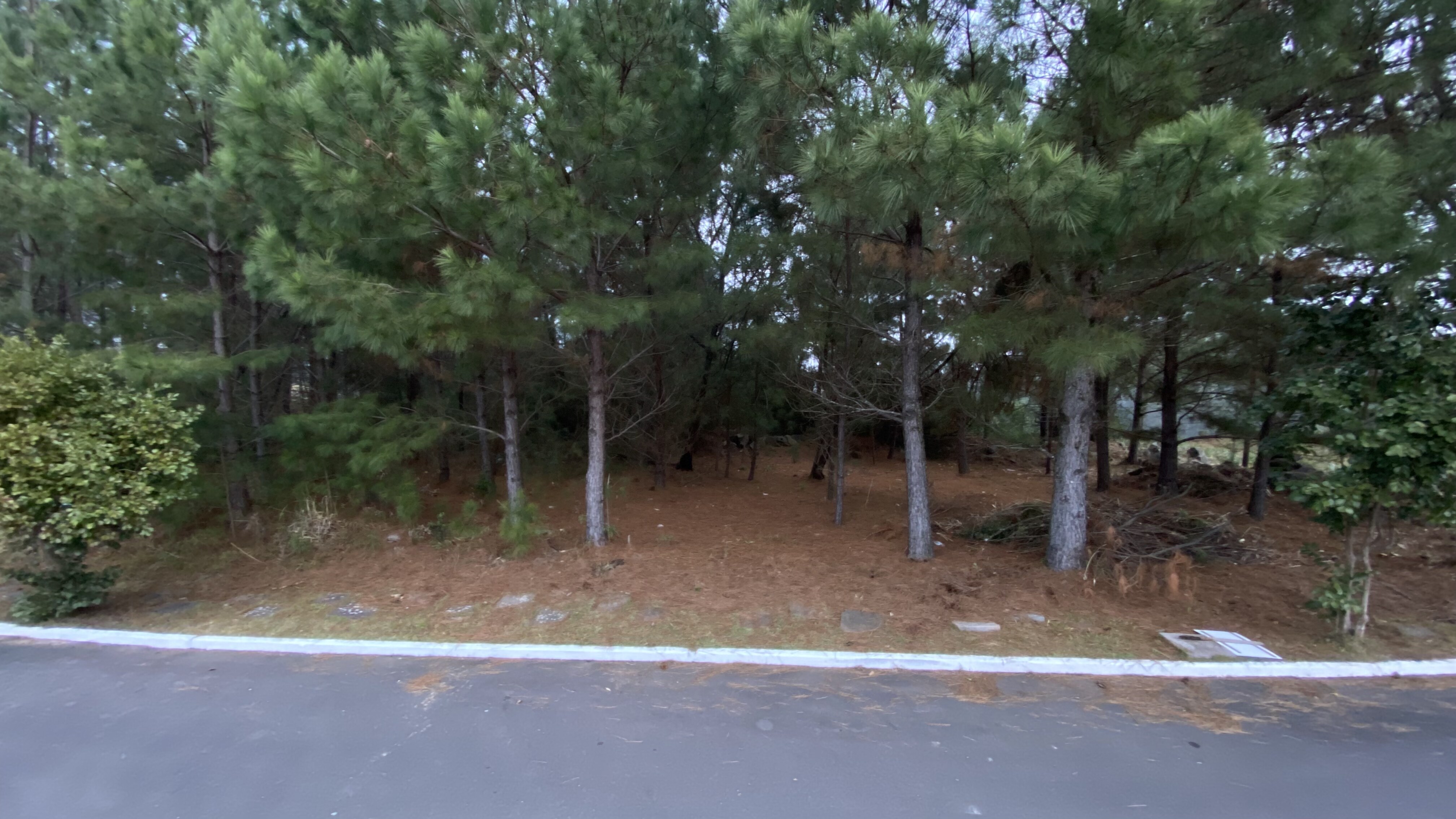 Excelente Terreno Plano com 660 m² no Bairro Mato Queimado — foto 1